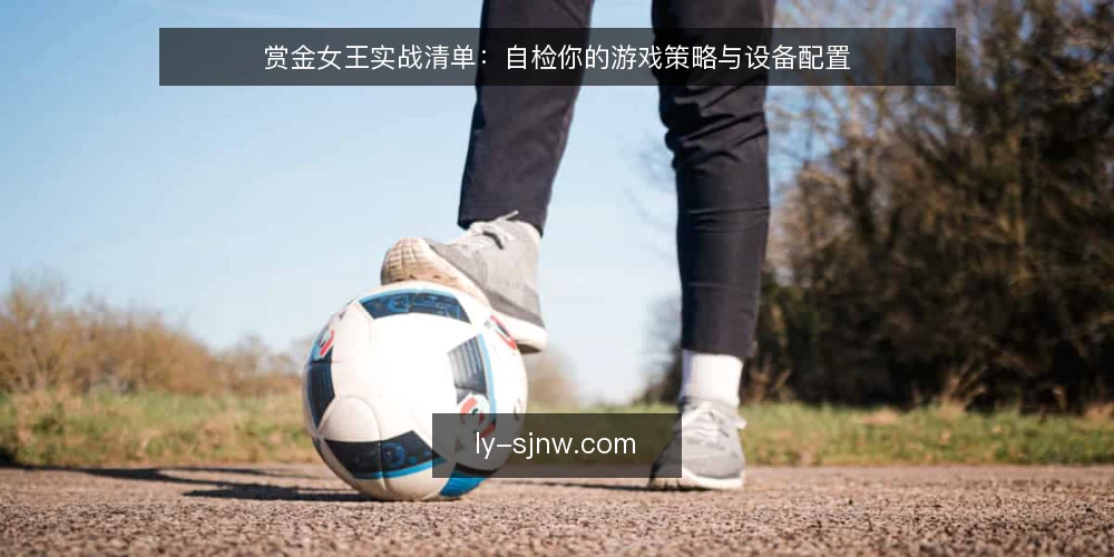 赏金女王实战清单：自检你的游戏策略与设备配置 — 明确赏金女王需求边界 配图