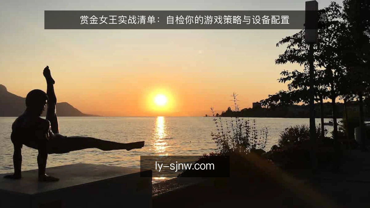 赏金女王实战清单：自检你的游戏策略与设备配置