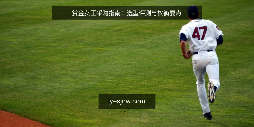 赏金女王采购指南：选型评测与权衡要点 — 选型基准：先界定需求与边界 配图
