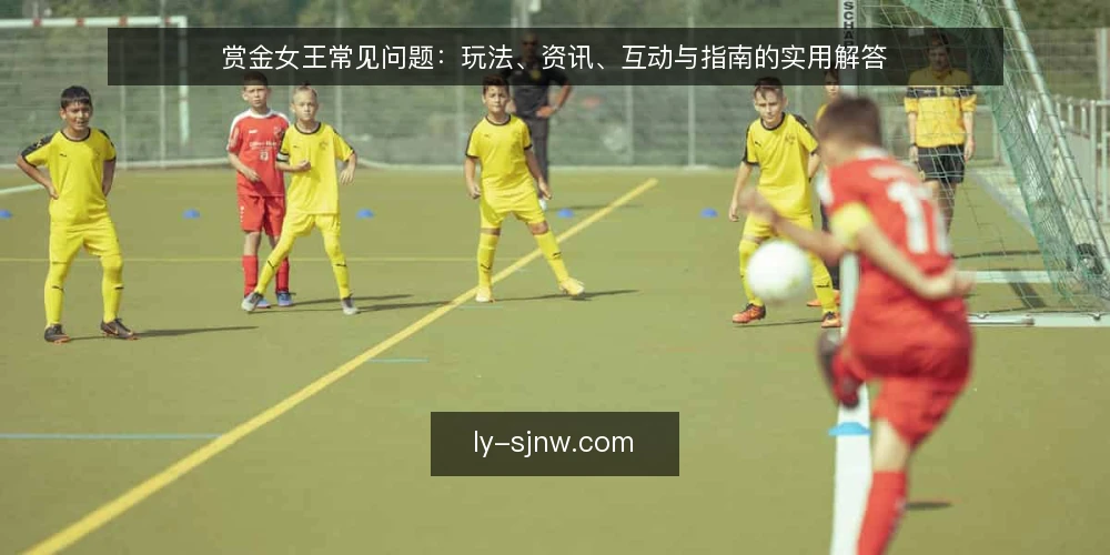 赏金女王常见问题：玩法、资讯、互动与指南的实用解答 — 赏金女王是什么？核心玩法如何理解？ 配图