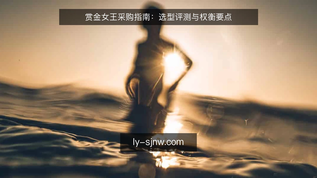 赏金女王采购指南：选型评测与权衡要点