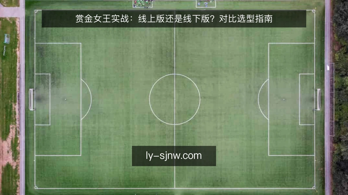 赏金女王实战：线上版还是线下版？对比选型指南