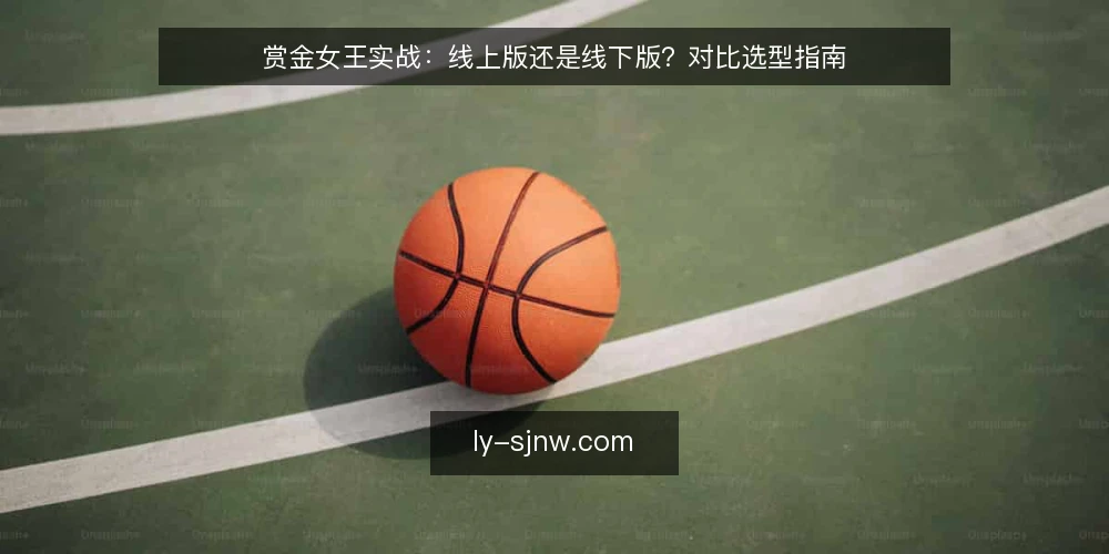 赏金女王实战:线上版还是线下版?对比选型指南 — 决策标准:先看什么再选 配图