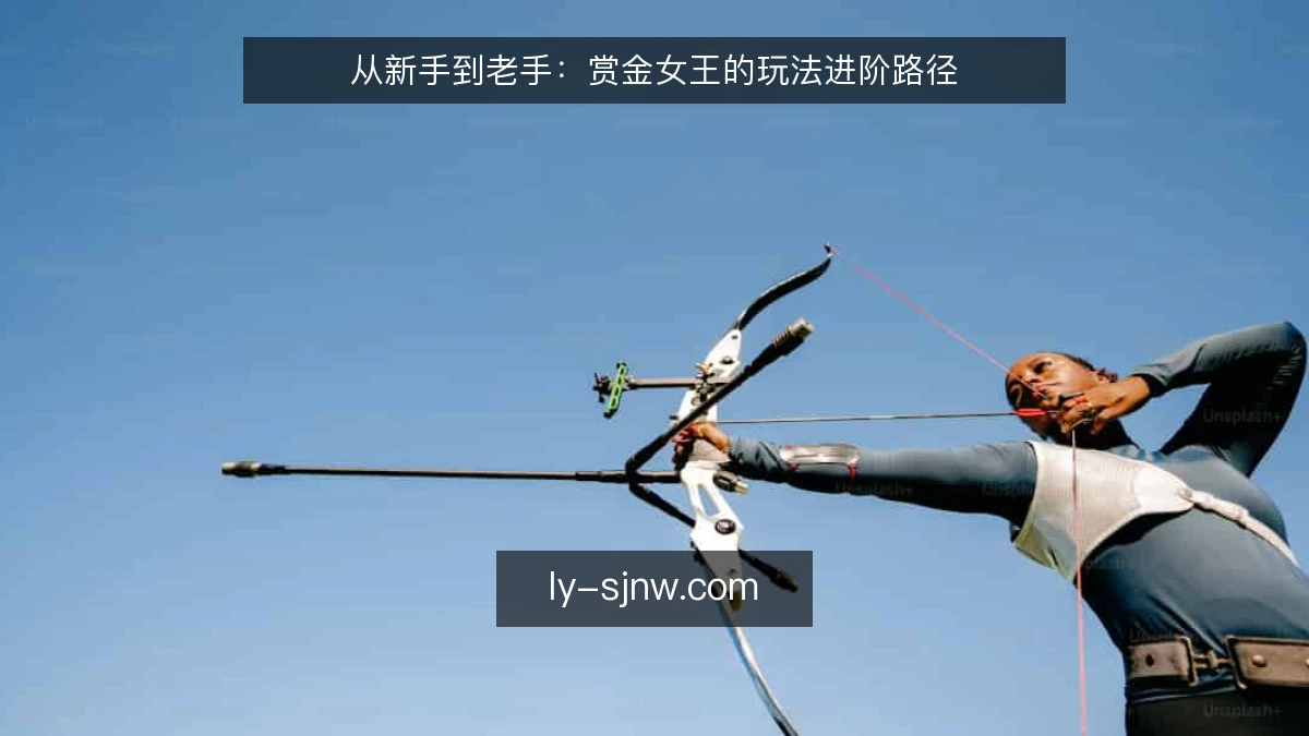 从新手到老手:赏金女王的玩法进阶路径