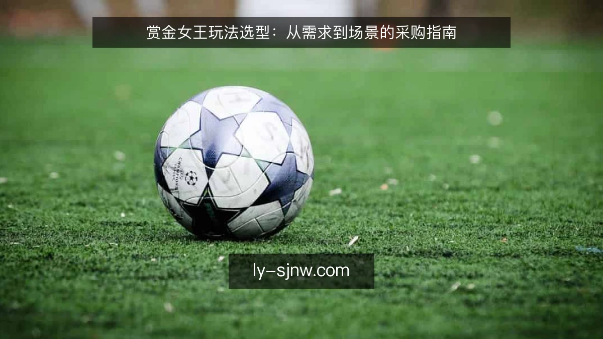 赏金女王玩法选型：从需求到场景的采购指南
