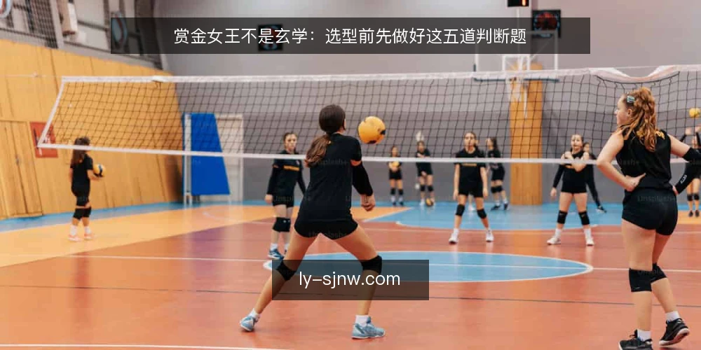 赏金女王不是玄学:选型前先做好这五道判断题 — 先定义你的真实需求:赏金女王是娱乐还是训练? 配图