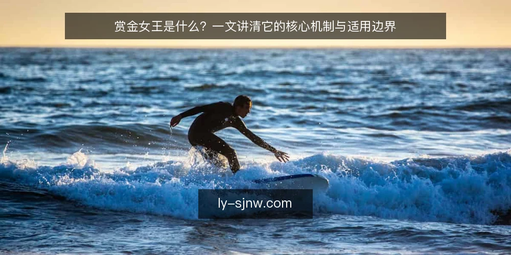 赏金女王是什么？一文讲清它的核心机制与适用边界 — 赏金女王是什么：先给一个准确的定义 配图