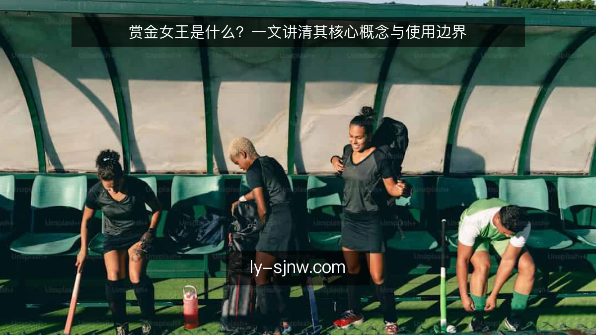 赏金女王是什么？一文讲清其核心概念与使用边界