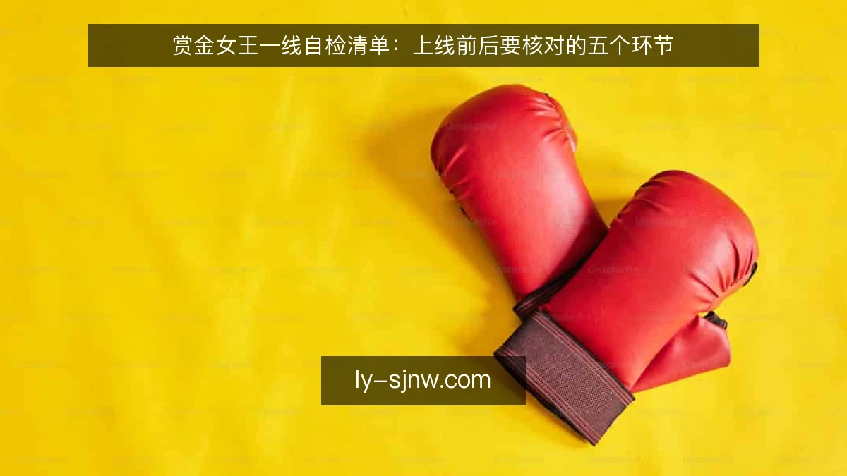 赏金女王一线自检清单：上线前后要核对的五个环节