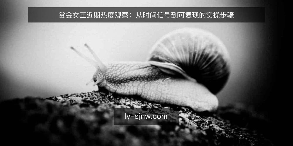 赏金女王近期热度观察:从时间信号到可复现的实操步骤 — 先备好观察工具与记录表 配图
