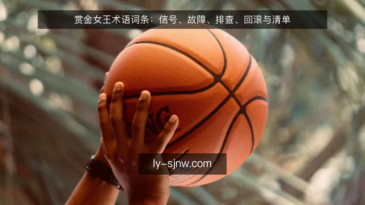 赏金女王术语词条：信号、故障、排查、回滚与清单
