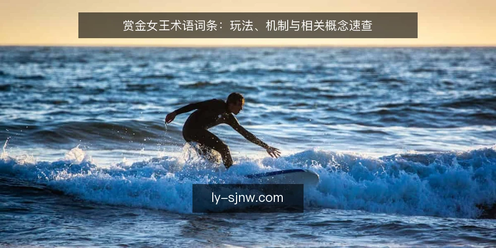 赏金女王术语词条：玩法、机制与相关概念速查 — 赏金女王与核心术语边界 配图