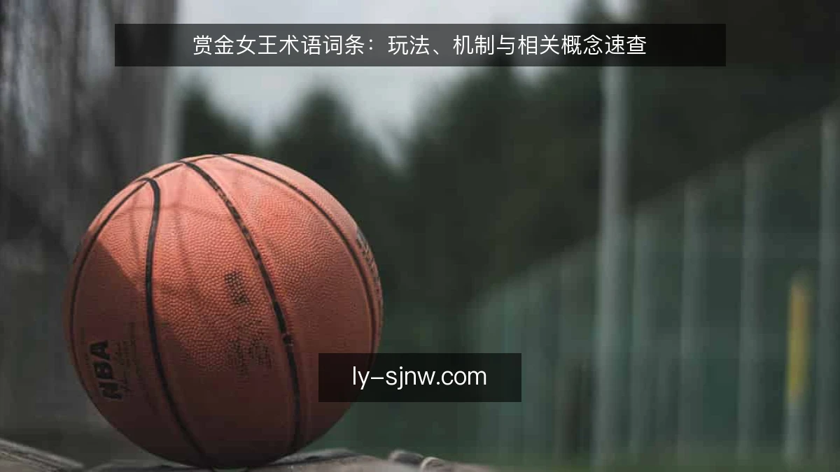 赏金女王术语词条：玩法、机制与相关概念速查