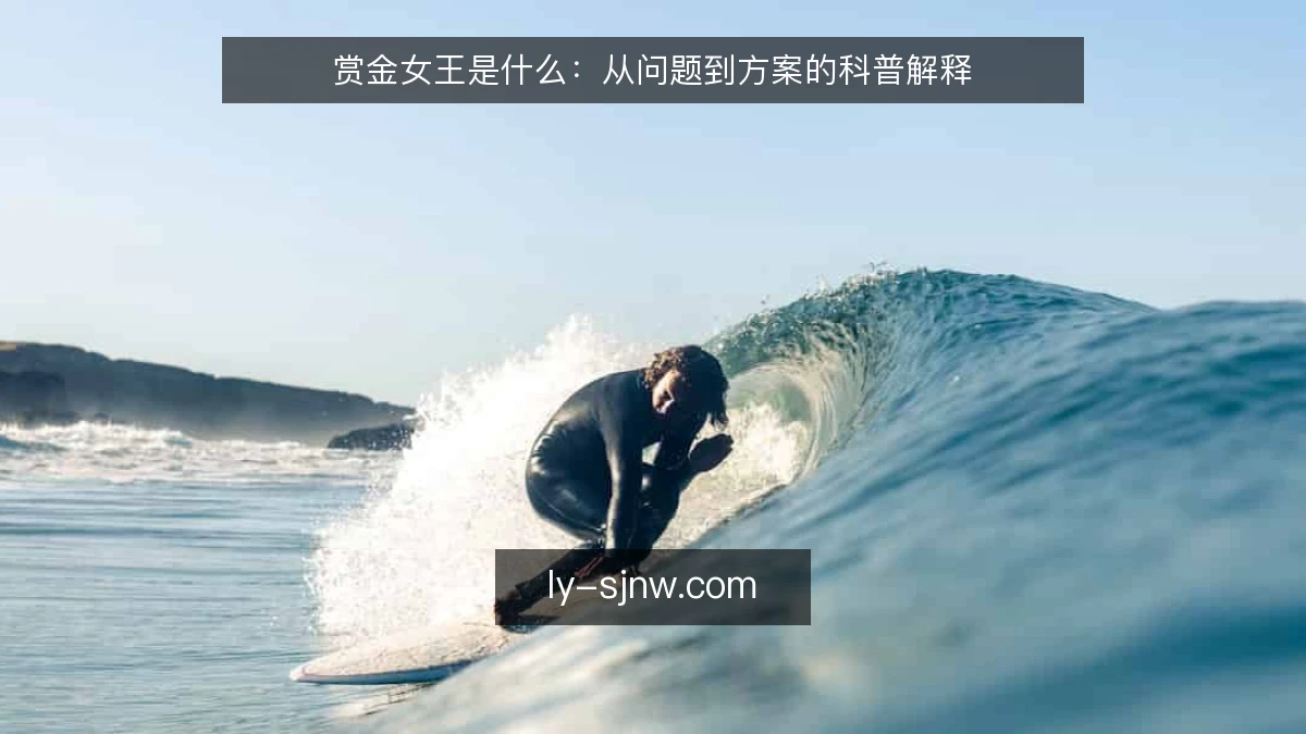 赏金女王是什么:从问题到方案的科普解释