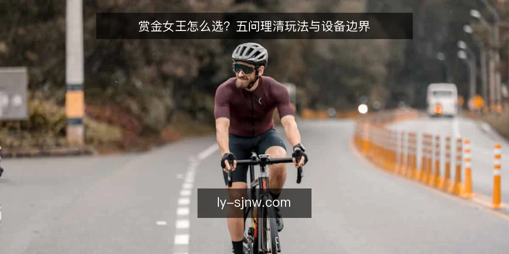 赏金女王怎么选？五问理清玩法与设备边界 — 先厘清：你说的赏金女王需求到底是什么？ 配图