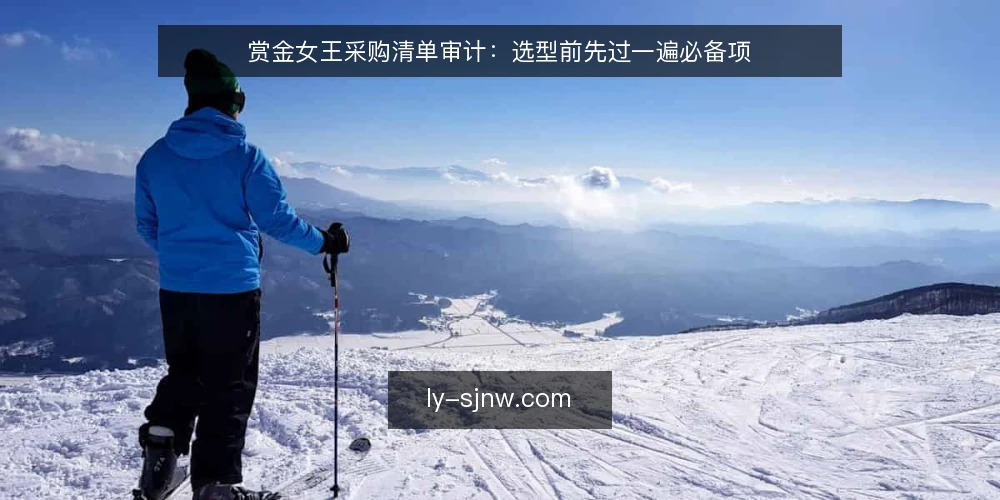 赏金女王采购清单审计:选型前先过一遍必备项 — 为什么现在做一次采购审计 配图