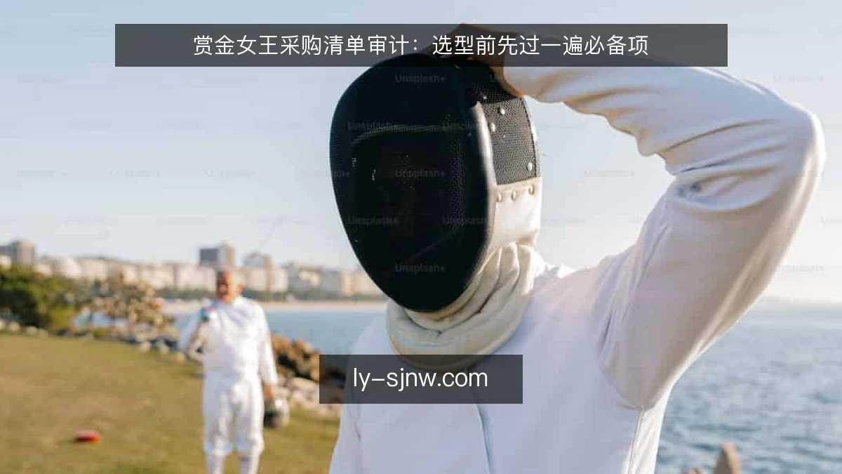 赏金女王采购清单审计:选型前先过一遍必备项